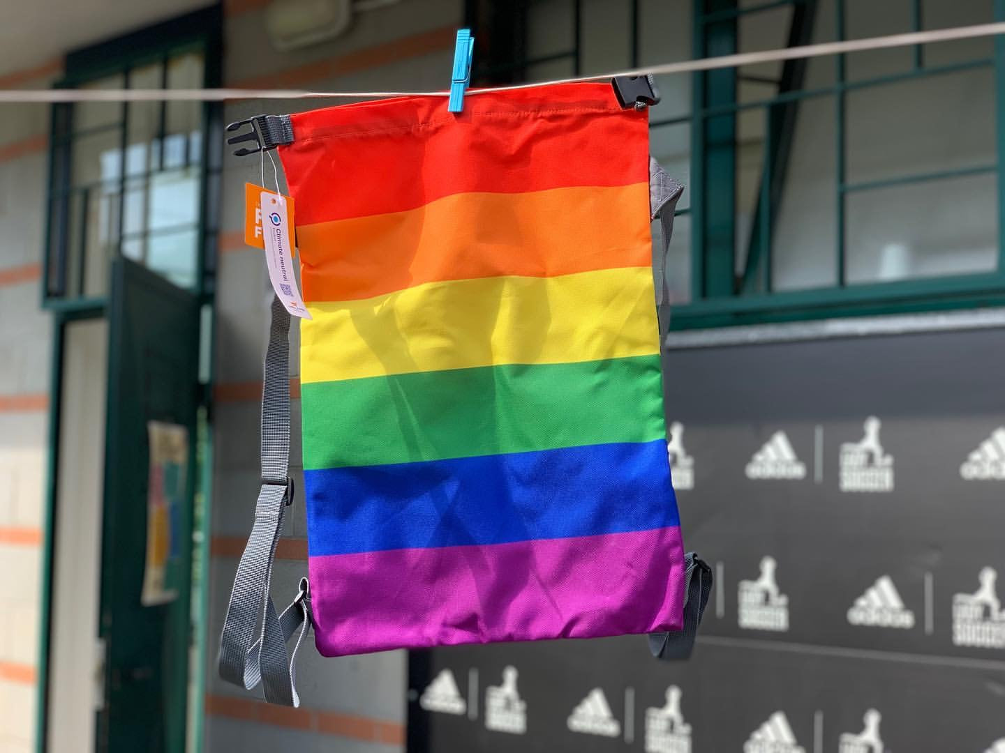 Rainbow bag